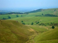 Hollin Moor