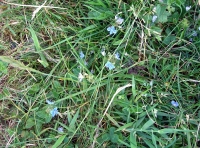 Hollin Moor photo 5