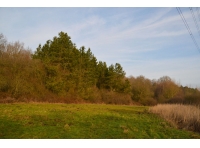 Horton Wood - SOLD