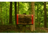Hunsley Wood - SOLD photo 4