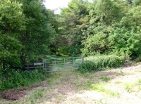 Irtonwood - SOLD