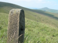 Knotberry Moor