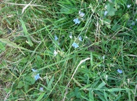 Knotberry Moor