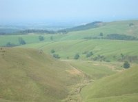 Knotberry Moor
