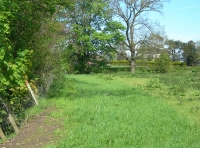 Lea Pasture photo 2