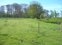 Lea Pasture photo 4