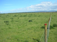Lea Pasture photo 5