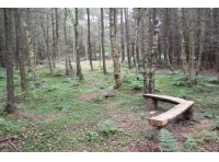 Lund Wood