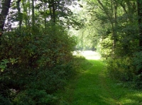 Melton Wood - SOLD
