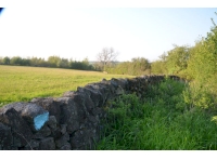 Western field boundary