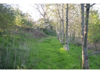 Path along western boundary