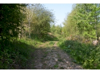 Shared access track