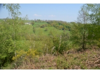View of the valley