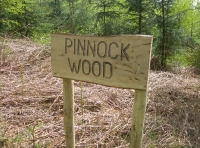 Pinnock Wood - SOLD photo 2