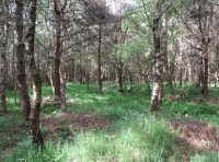 A typical view