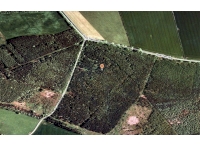 Birdseye view