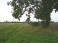 Sandholme Meadow - SOLD photo 2