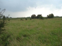 Sandholme Meadow - SOLD photo 3
