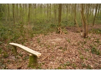 Sharforth Wood