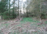 open area, a good internal access
