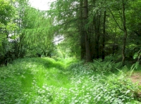 access track