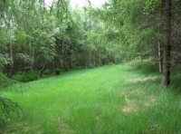 open area to the south