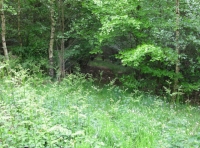 open area
