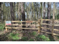 Swale Wood - SOLD