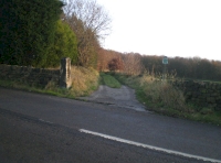 Tramway Wood