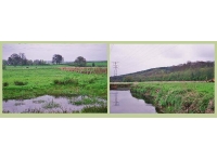 Trent Meadow - SOLD