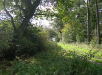 Ushaw Wood - SOLD