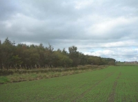 Ushaw Wood - SOLD photo 2