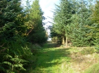 Ushaw Wood - SOLD photo 4