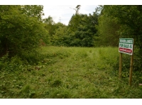Waltham's Wold Wood