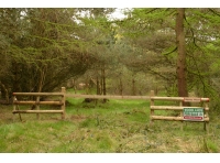 Wesley Wood - SOLD