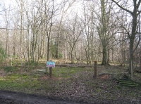 West Thistley Wood