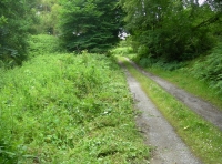 Witton Wood - SOLD