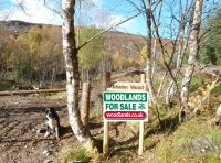 Abhainn Wood