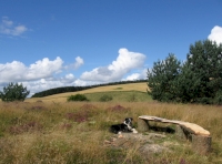 Basking in sunshine by hilltop bench
