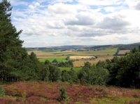 View South from western edge