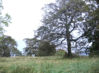 Barr Meadow - SOLD