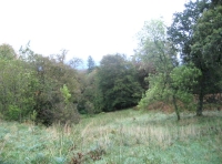 Northern area