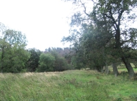 Southwest area and boundary