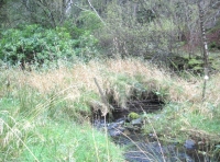 Southeast open stream area
