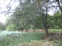 Northeast area