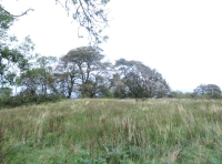 Open northwest area