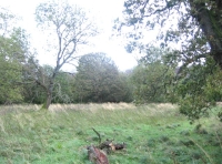 Central west area
