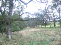 Southern area