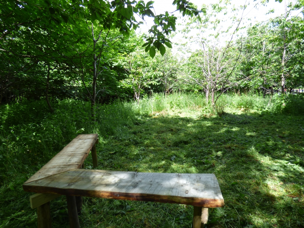 Bowers Wood, Bowershall, Fife Woodlands.co.uk