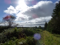 Brae Wood - SOLD